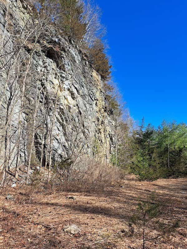 Quarry Hill Natural Area - Image 2