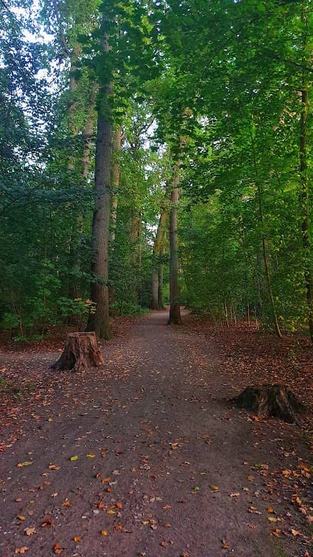 Kleiner Bürgerbusch - Image 1