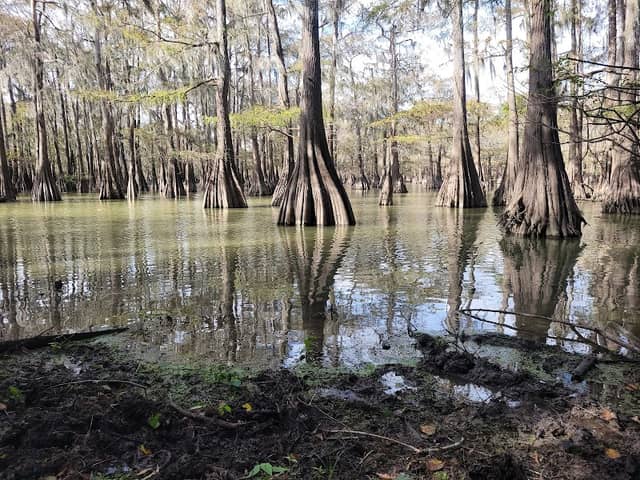 Paseo de Los Patos Trailhead - Image 1
