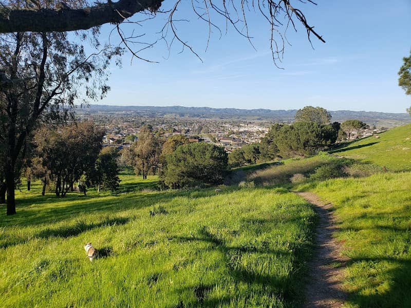 Beattie Park - Image 2