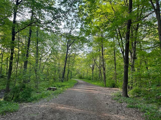 Seager Park - Image 2