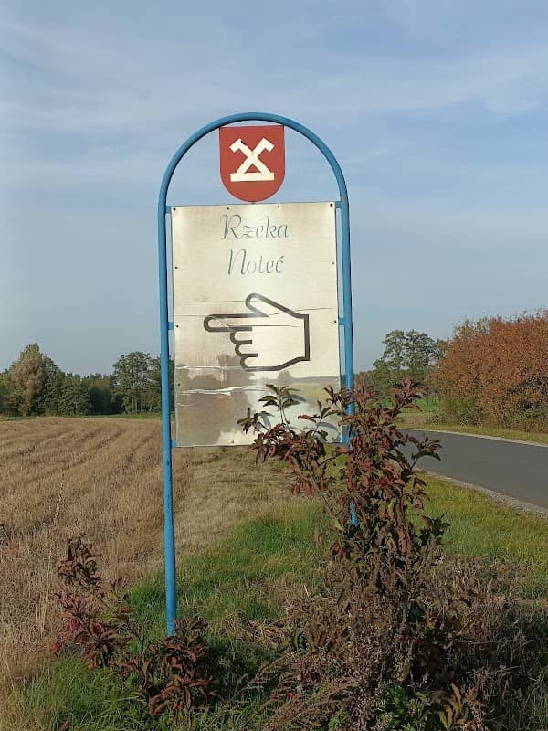 Źródła rzeki Noteć - Image 1