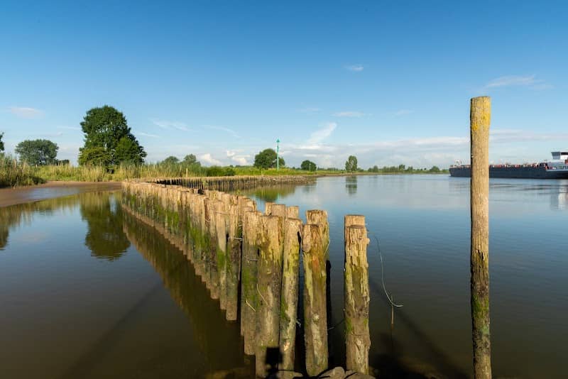Achthovense Uiterwaarden. - Image 1