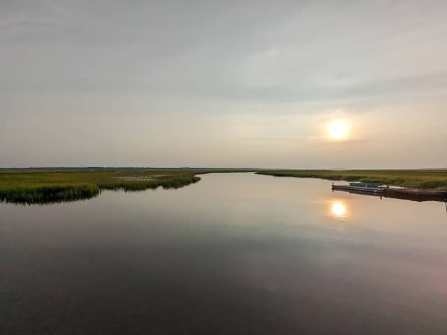 Wildlife Resources Division - Image 2
