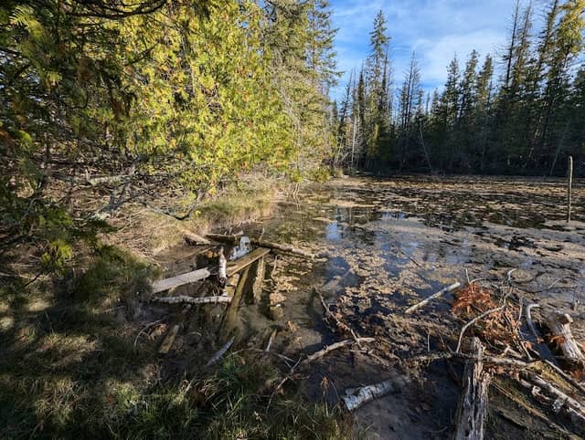Naas, Mauger, Raunecker, and Leslie Nature Preserve - Image 2