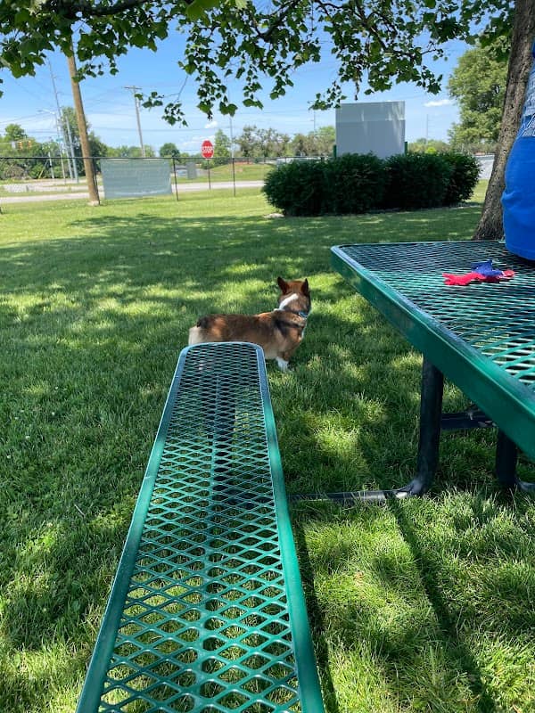 Canine Crossroads Dog Park - Image 2