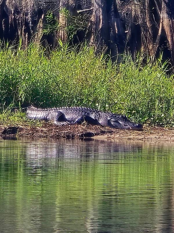 Lake Paradise - Image 1