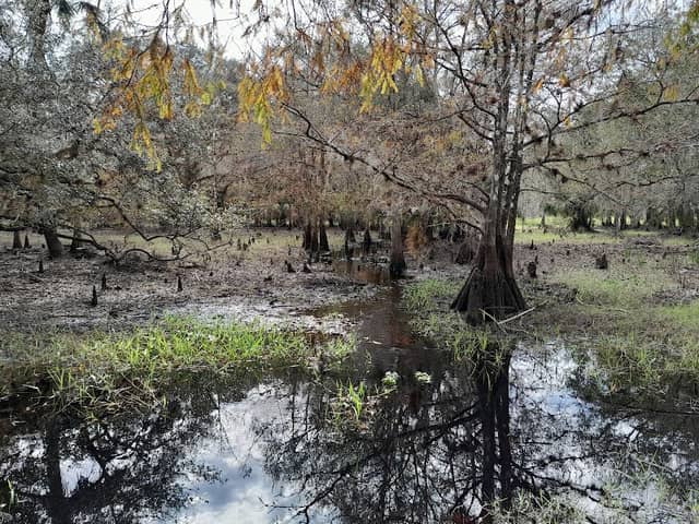 Lake Paradise - Image 2