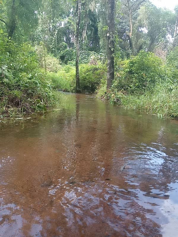Spring Valley - Image 2