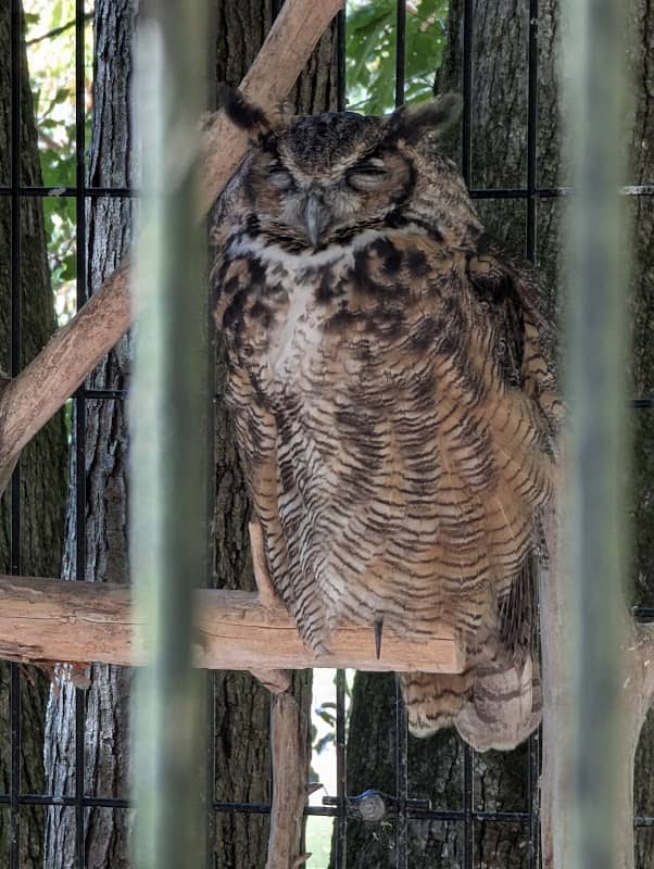 Dauset Trails Nature Center - Image 1
