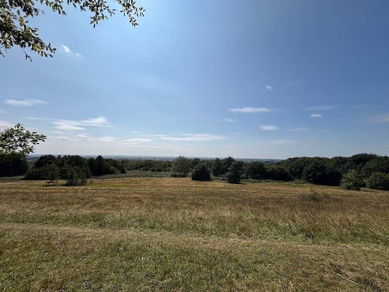 Grannies Hill Viewing Point - Image 1