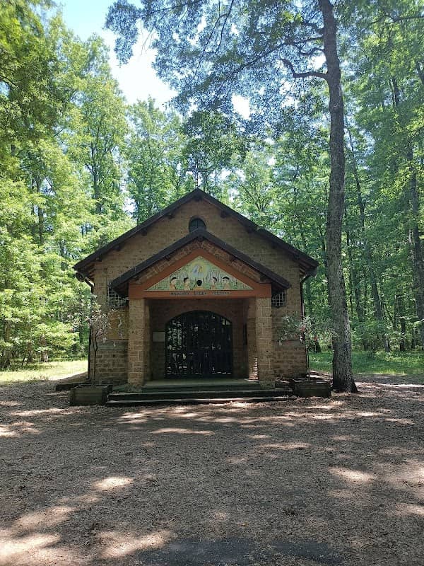 Bosco della Folgore - Image 1