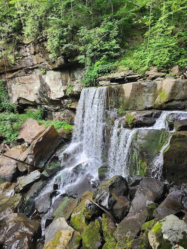 Wolf Creek Falls - Image 1