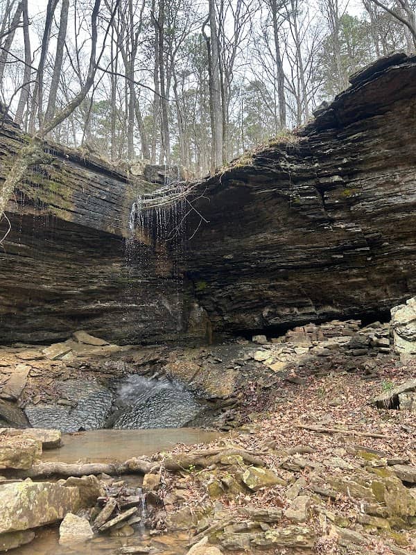Cabin Falls - Image 2