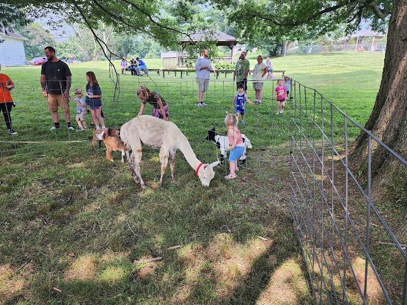 Little Critters Traveling Petting Zoo LLC - Image 1
