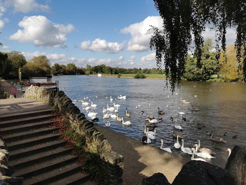 River Thames Windsor - Image 3