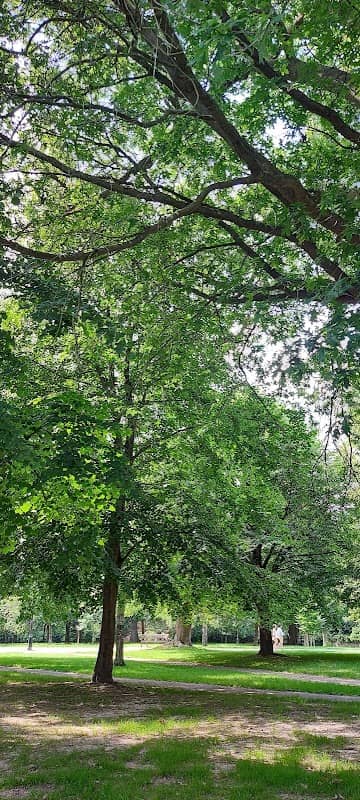 The Grove. - Image 2