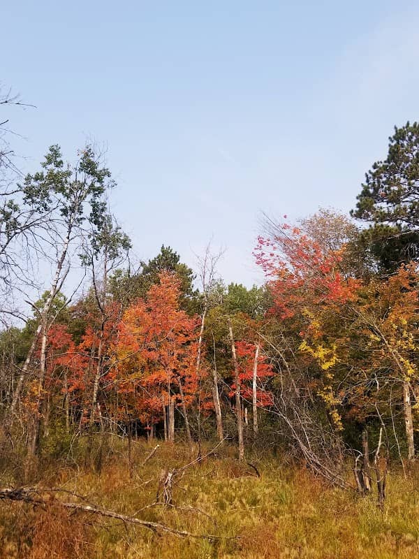 Paul Bunyan Trail Access - Image 1