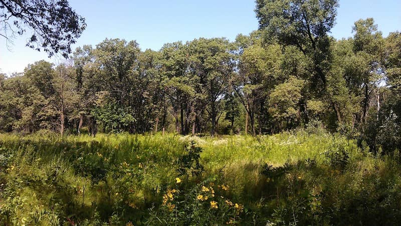 Ivanhoe South Nature Preserve / Shirley Heinze Land Trust - Image 1