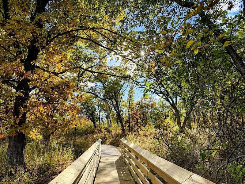 Ivanhoe South Nature Preserve / Shirley Heinze Land Trust - Image 2