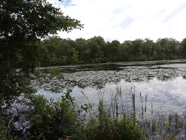Thirty Acre Pond DW Park - Image 1