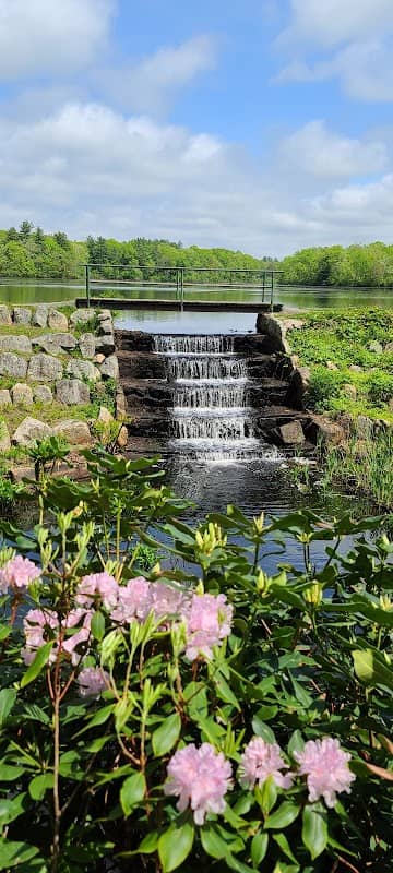 Thirty Acre Pond DW Park - Image 3