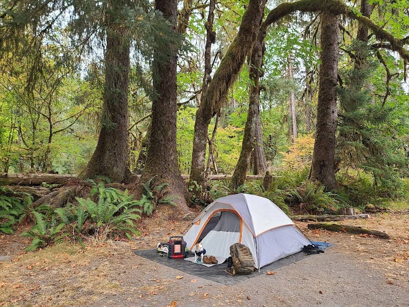 Hoh Rain Forest Campground - Image 3