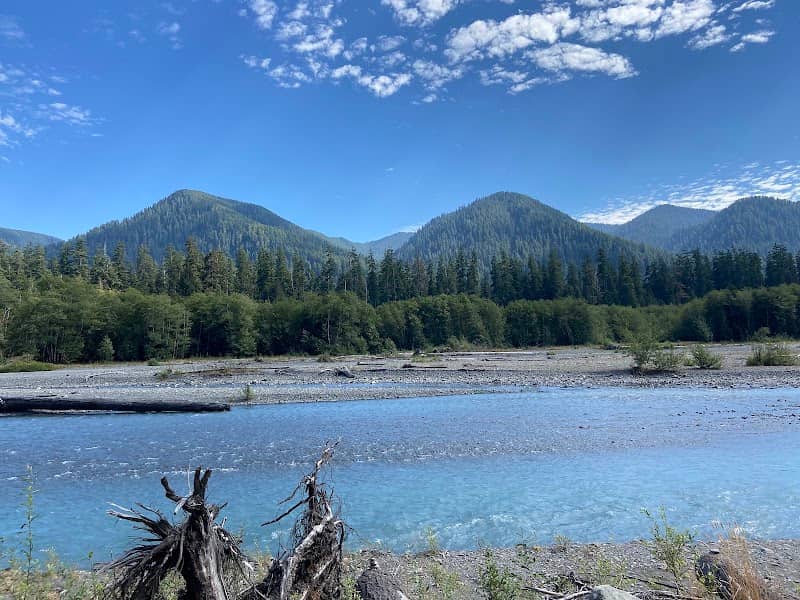 Hoh Rain Forest Campground - Image 2