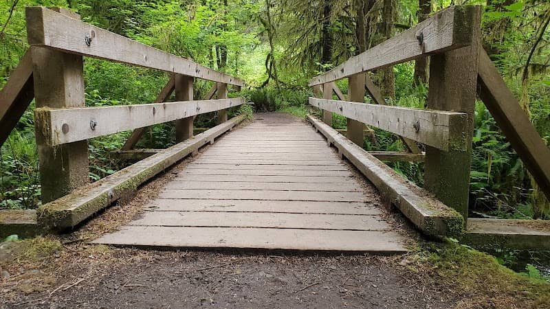 Hoh Rain Forest Campground - Image 1