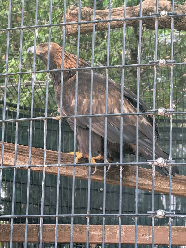 Bay Beach Wildlife Sanctuary Nature Center - Image 3