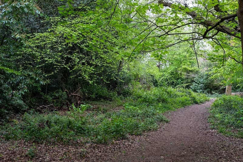 Queen Elizabeth Park - Image 2