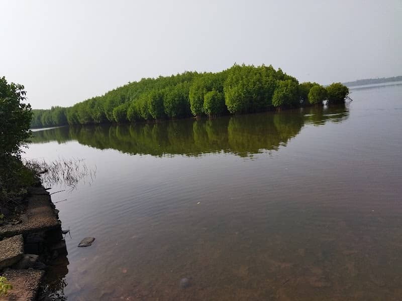Kalloori kadavu - Image 1