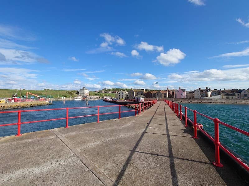 Eyemouth Harbour - Image 1