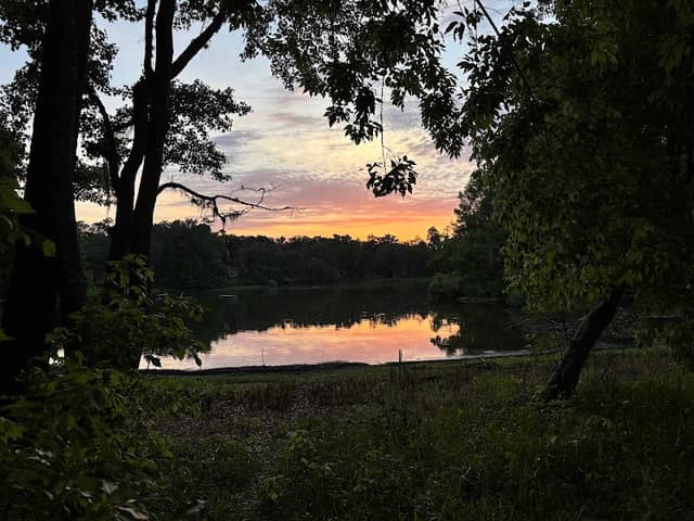 Sugarfoot Prairie Conservation Area - Image 2