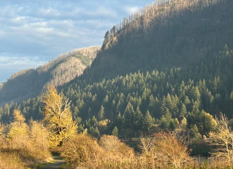 David's Vista - Image 2