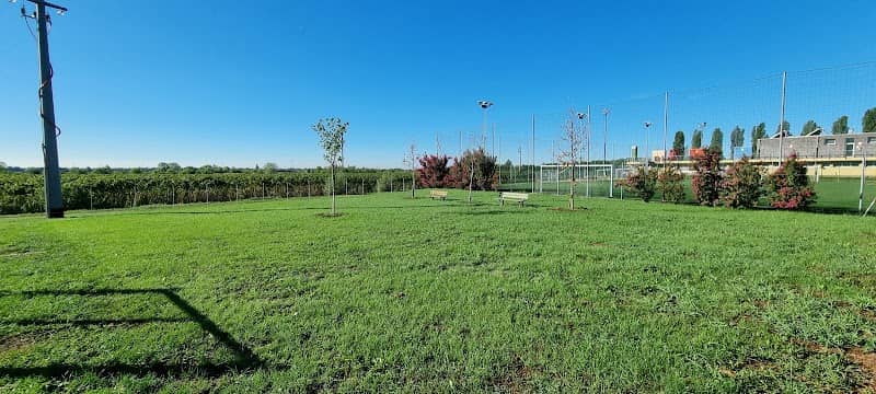Area sgambamento cani - Gambellara - Image 1