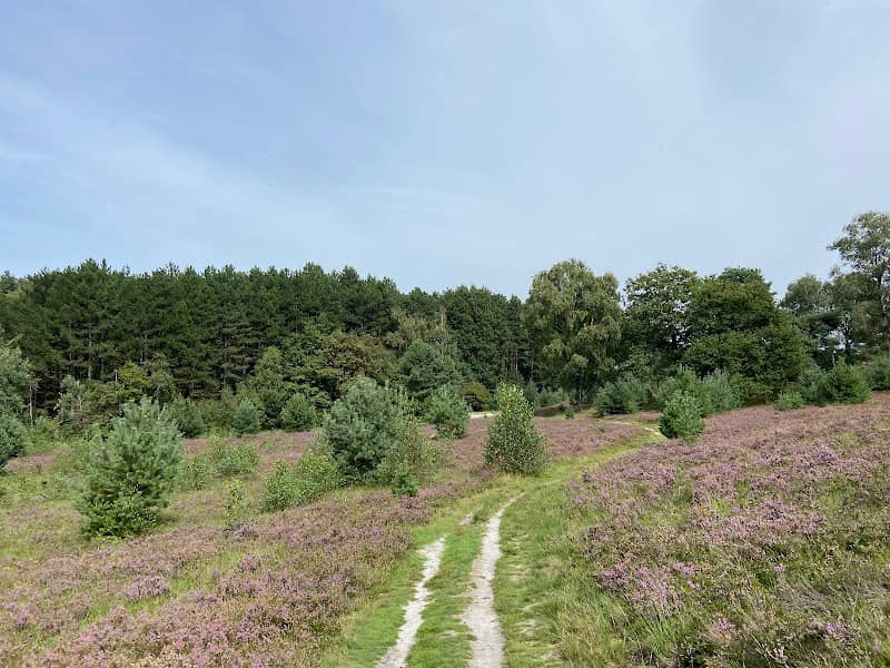 Hondenuitlaatplek - Image 2