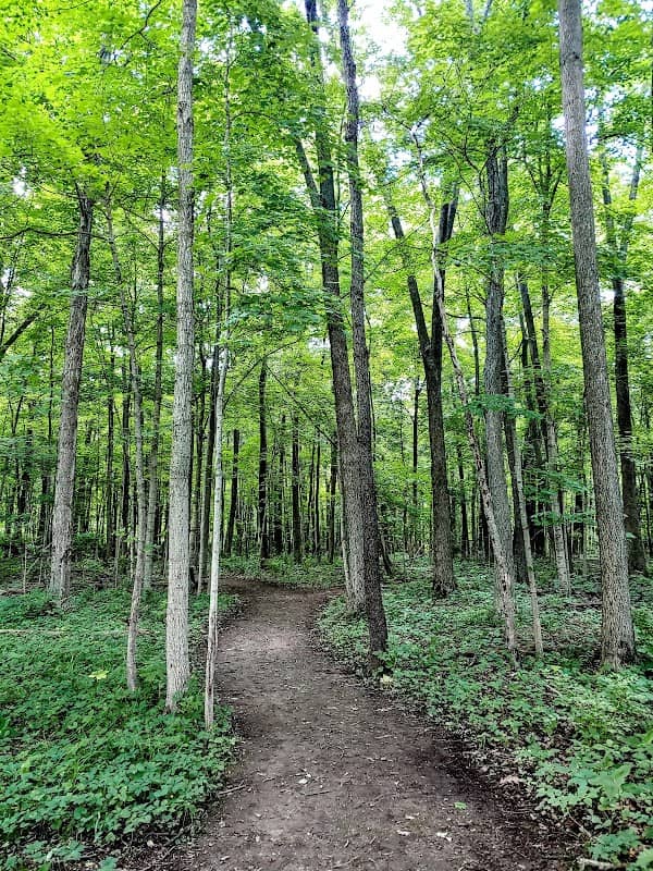 Hickory Woods Park - Image 2