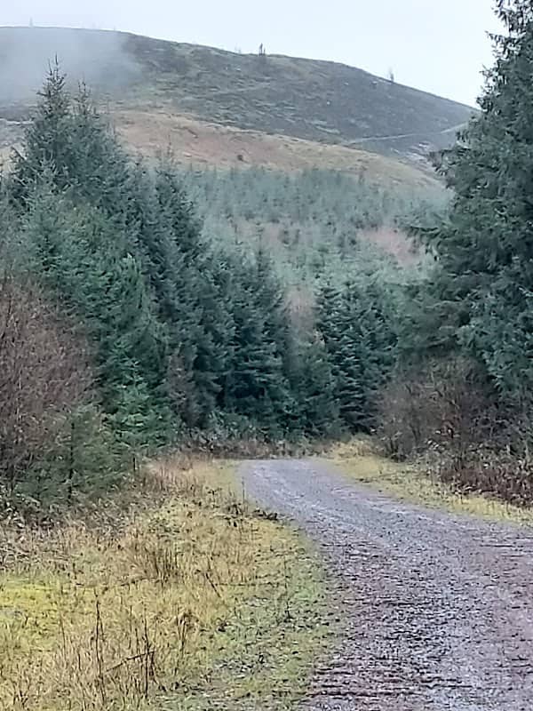Llyn Fawr Reservoir - Image 3