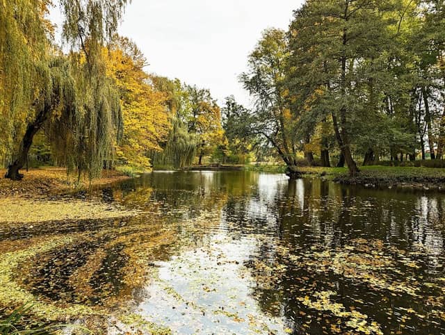 Park Pałacowy - Image 1