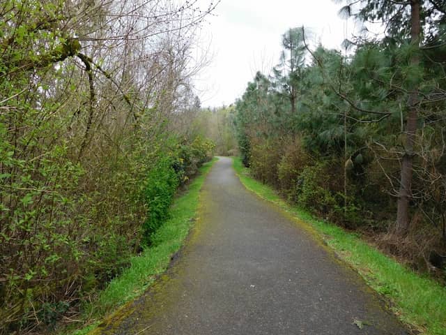 Fanno Creek Park - Image 3
