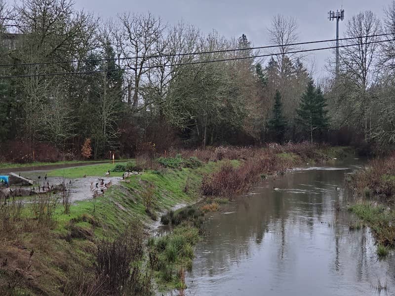 Fanno Creek Park - Image 1