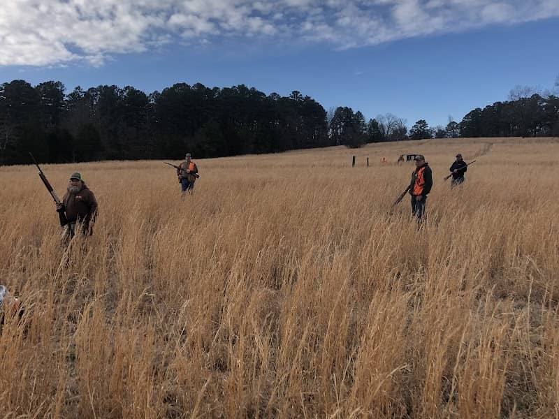 Hall's Quail Preserve - Image 2