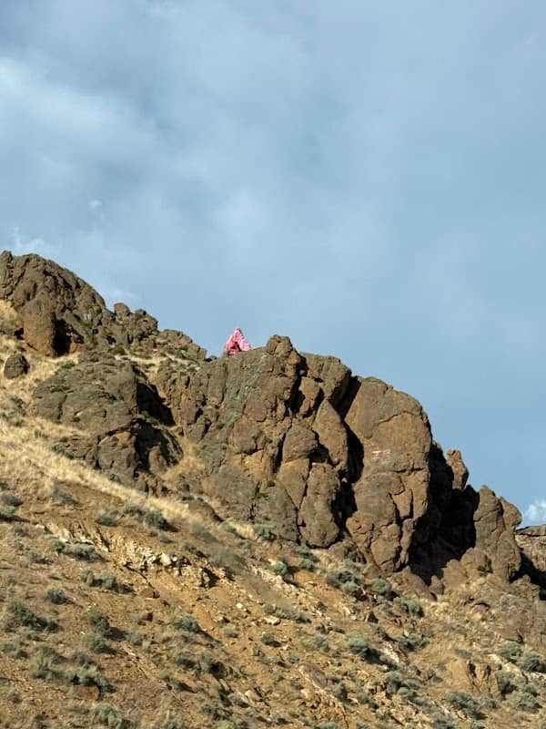Painted Pink Elephant on Hillside - Image 1