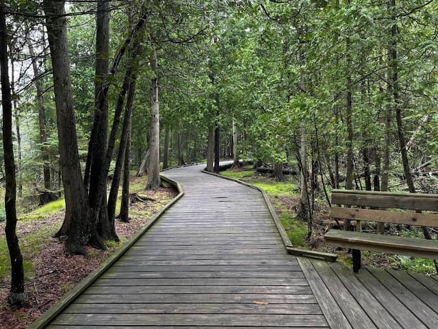 The Ridges Sanctuary - Image 3
