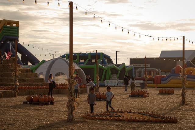 Pumpkin Palooza Treasure Valley - Image 1