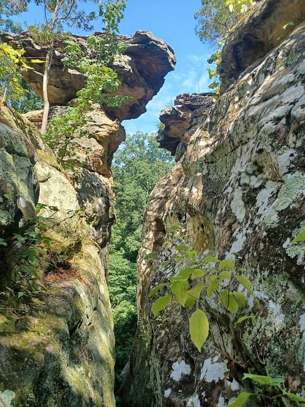 Devil’s Standtable Nature Trail - Image 1