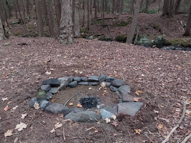 Fern Hill Nature Area - Image 1