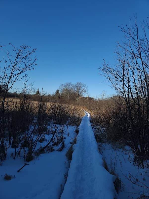 Marshlands Conservation Area - Image 2