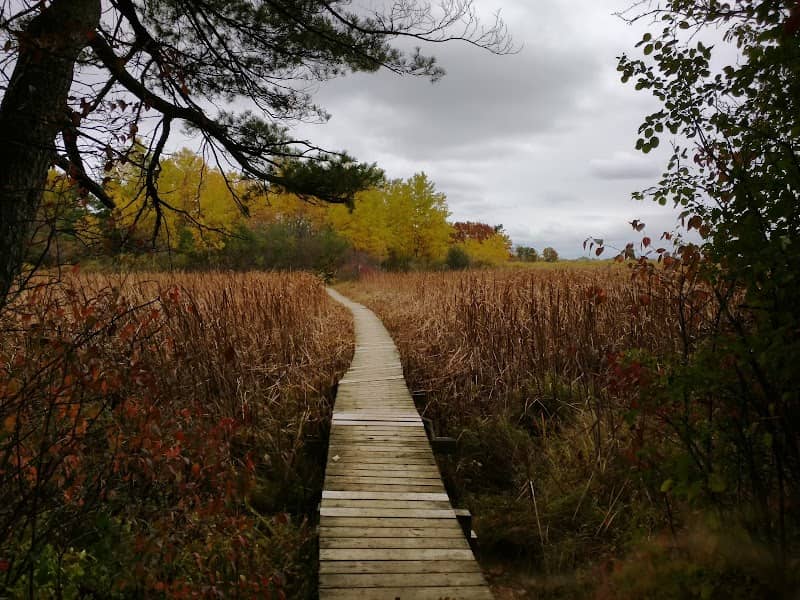 Marshlands Conservation Area - Image 1